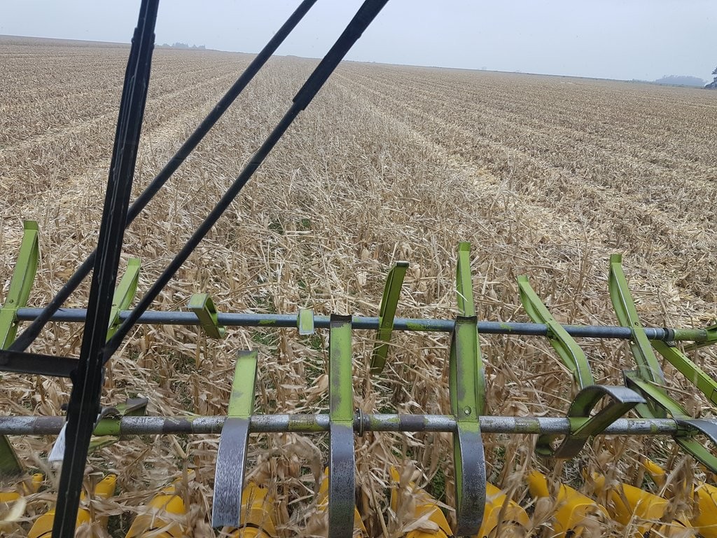 Márgenes proyectados 2017/18: el maíz temprano es por lejos el cultivo menos competitivo