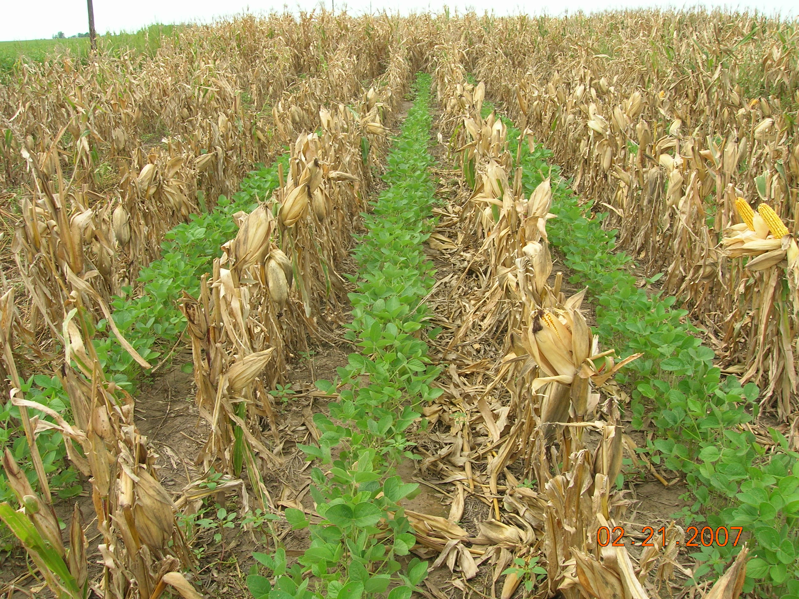 Córdoba lanzó un Programa de Buenas Prácticas Agrícolas