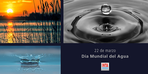 22 de marzo: Día mundial del agua