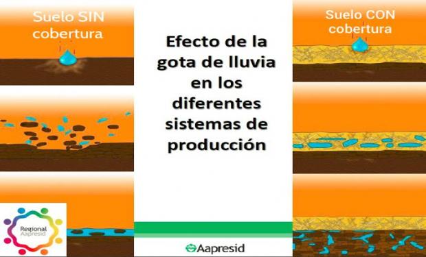 Derribando mitos y aclarando dudas